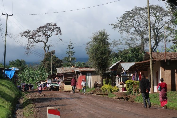 Mweka Village