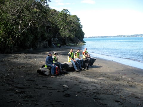 aifs-neuseeland-projekt-umwelt-und-naturschutz-personen-baumstamm-meer-program-carousel-668x1000