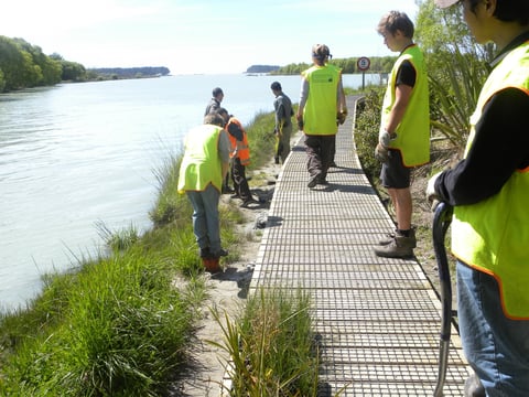 aifs-neuseeland-projekt-umwelt-und-naturschutz-personen-wasser-steg-natur-program-carousel-668x1000