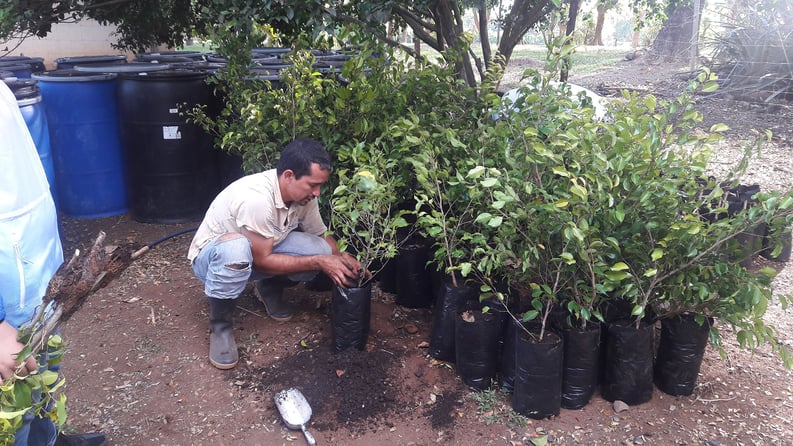 AIFS-Farmwork-Costa Rica-Tree nursery