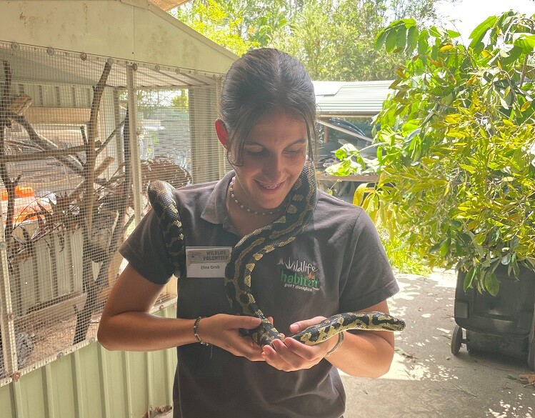Erfahrungen Freiwilligenarbeit in Australien mit AIFS