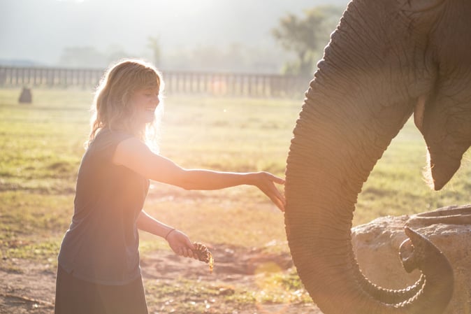 aifs-adventure-trip-thailand-chiang-mai-elefant