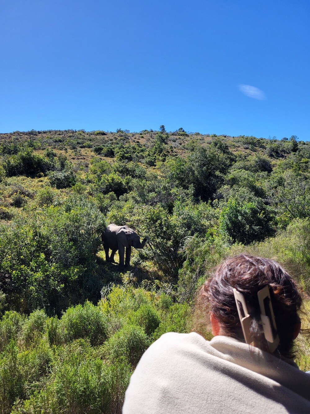 Lenas Erfahrungen beim Freiwilligenprojekt in Südafrika