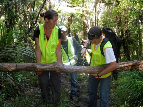 aifs-neuseeland-projekt-umwelt-und-naturschutz-personen-wald-baum